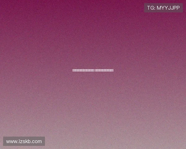 深圳新鹏城推出免费接驳车服务 助力球迷便捷前往肇庆观赛 深圳新鹏城推出免费接驳车服务 助力球迷便捷前往肇庆观赛